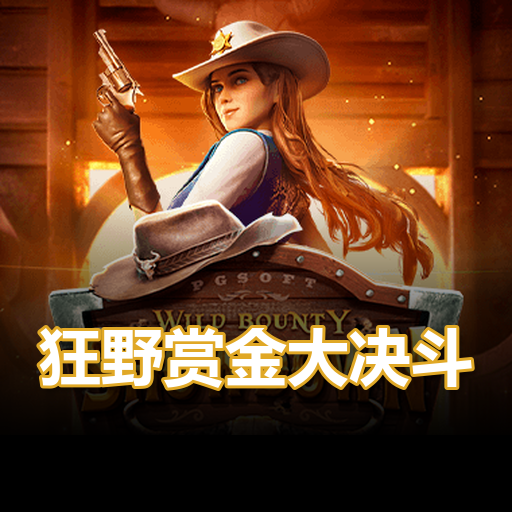 狂野赏金大决斗